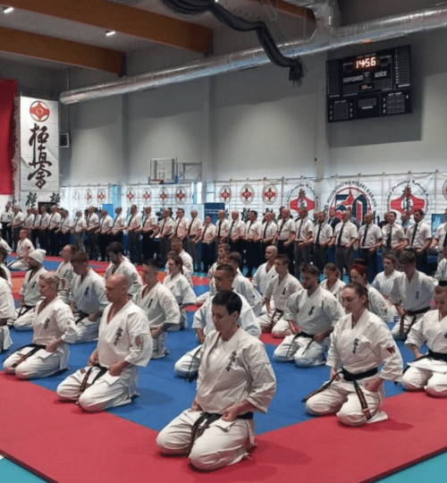 Obrazek Krakowskiego Klubu Karate Kyokushin 3
